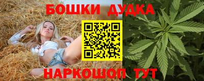 гидропоника Сланцы
