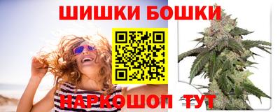 гидропоника Сланцы