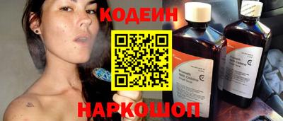 гидропоника Сланцы