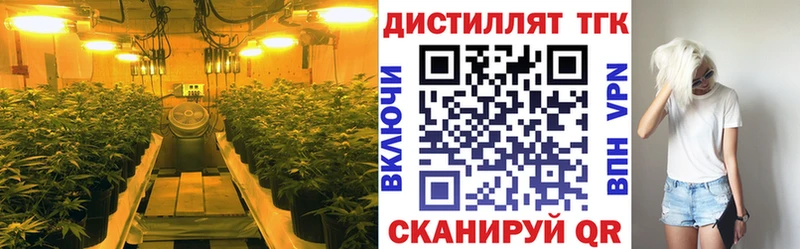 купить наркотик  Отрадный  Дистиллят ТГК вейп 