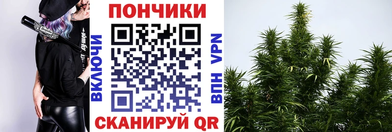 Каннабис марихуана mega зеркало Отрадный